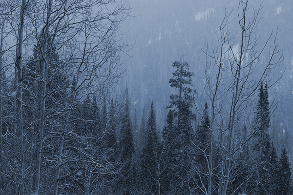 631a0584cab18b0bcacf050c1c3c6ad420712742.gifv