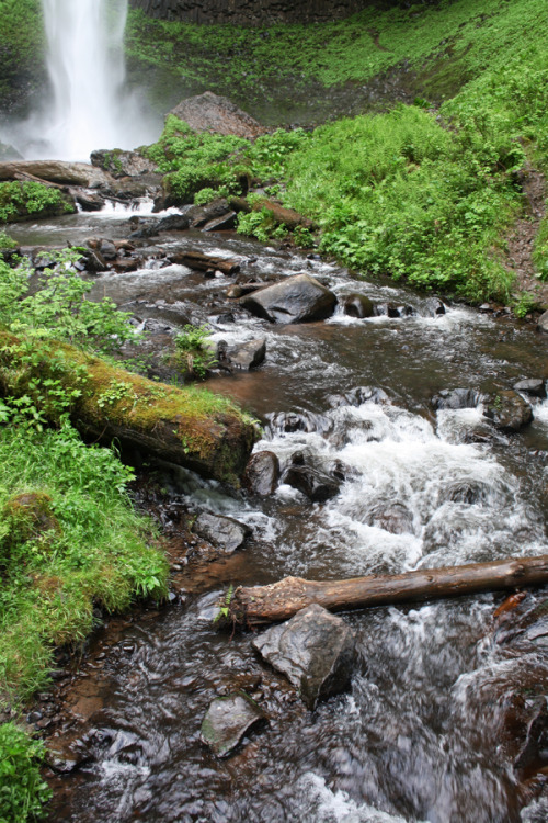 Porn Pics bright-witch: Columbia River Gorge ♢ Print