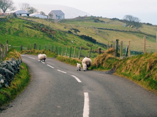 archaeheart:  Causeway Coastal Route // Northern Ireland