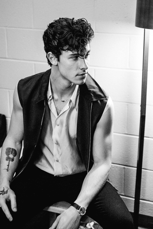 SHAWN MENDES2019 › ph. Josiah Van Dien