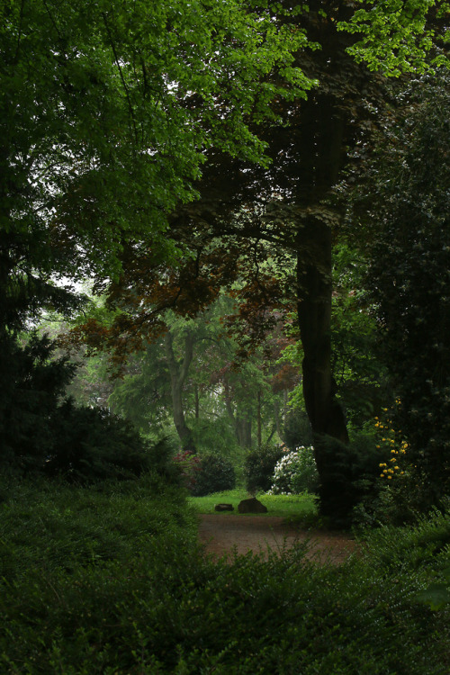 A cloudy day at the local park by 90377Instagram | Etsy Shop