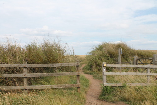 floralshakespeare:saltburn-by-the-sea, north yorkshire x