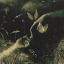 elwin-finch