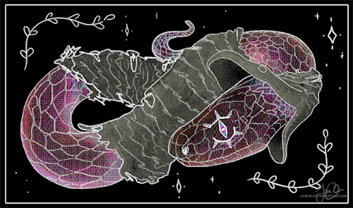 [Start ID: a GIF of a changing rainbow snake with majority pink, blue, and white coloring. The snake is shedding it's old skin. The old skin is a beige color with grungy black shading. The new skin is black with dappled bright pink and blue, and a base color that changes as the gif continues through the rainbow. The snake has one eye that faces the viewer. It's eye is wide open and in the pupil is the trans flag. The line art is white and textured, and the background is black with a white border surrounding it, in a rectangle. There are some decorative doodles of herbs and sparkles around the background. The snake's tongue flits out twice per gif cycle. /End ID]