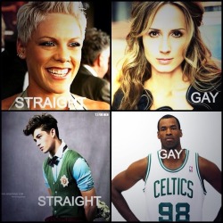 notlostonanadventure:  supermoocow:  blonohomo:  cre8yourself:  Stop stereotyping  Thaaaaank youuuu  RE-BLOGGING THE SHIT OUT OF THIS   P!nk is bi but whatever