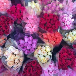 bergdorfprincess:  “I must have flowers,