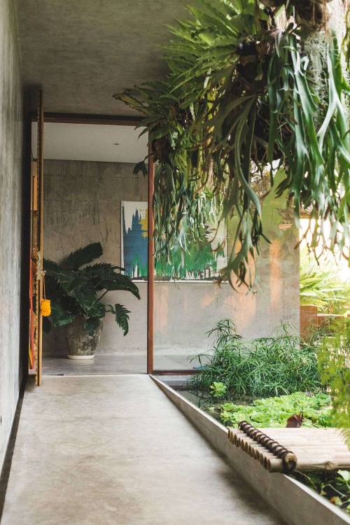 Tropical Brutalism: Concrete and Timber Home in Bali - Aesthetics of the Everyday