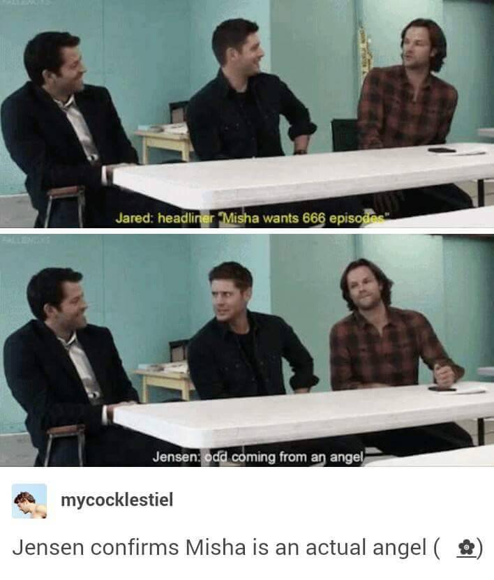 thecocklesofyourheart:  Jensen really thinks Misha is an Angel