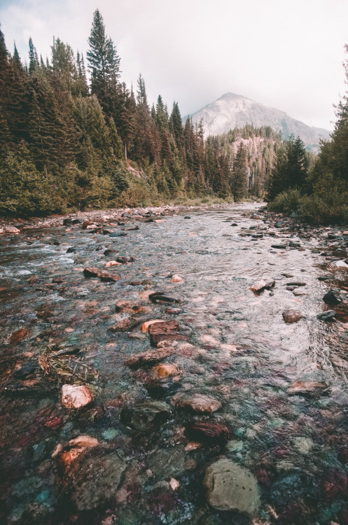 aarondav1s:Glacier National Park, August 2015