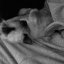 dreamingabher