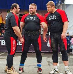 doncastergit:  justbulls:  Strongman Bulls  I want him in the middle!