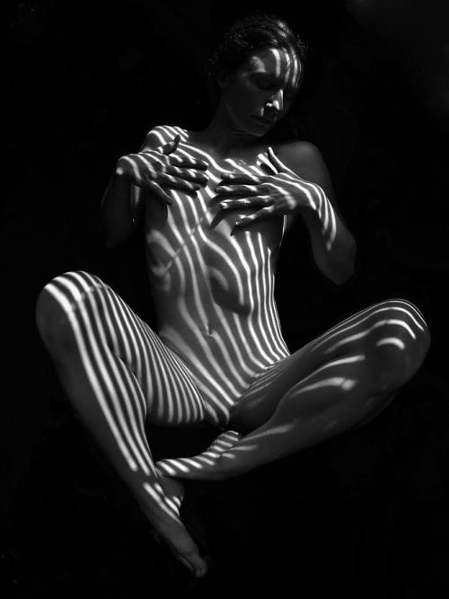 1023 Art Nude Figure Striped With Sunlight In Dark Room by Chris Maher, 2012