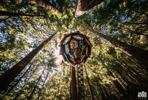 pinecone treehouse