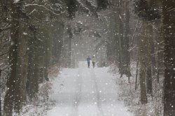 runnersclub:  Photo “Winter running” by Bart Ceuppens #500px http://500px.com/photo/23939559  