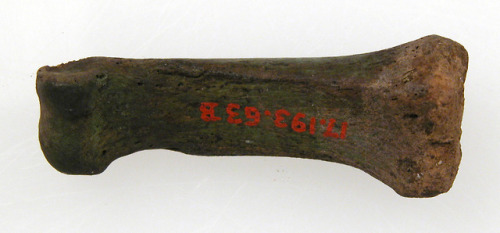 Finger Bone, Medieval ArtGift of J. Pierpont Morgan, 1917Metropolitan Museum of Art, New York, NYMed
