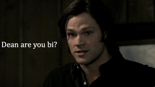 the-winchester-initiative: This one wins. Everyone else go home.