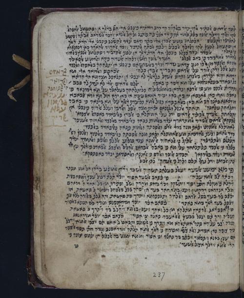 Interested in Judeo-Arabic? Galen? Well then LJS 299 is the manuscript for you! Pages 235-240 of LJS