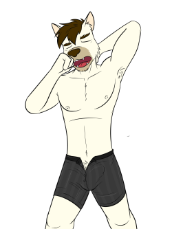 OC Underwear Meme 04Turns out folks really liked the canine dudes from pre-loading, which is surprising since they’re some of my older OCs being refurbished.
