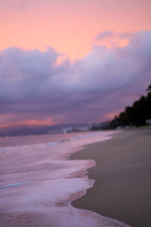 moody-nature:Untitled // By Taylor Beach