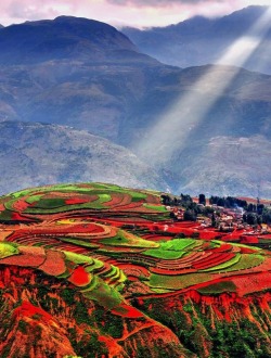 dranilj1:  Luoxiagou,Dongchuan, China 