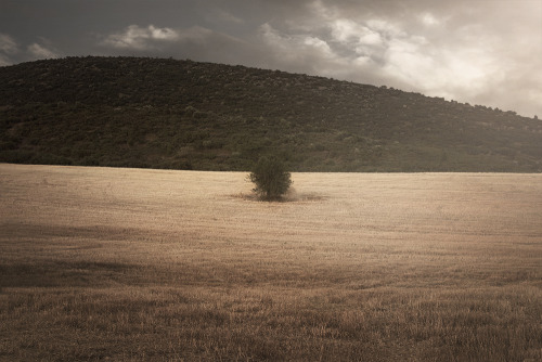 LandscapeIriniMori | PhotographyFlickr