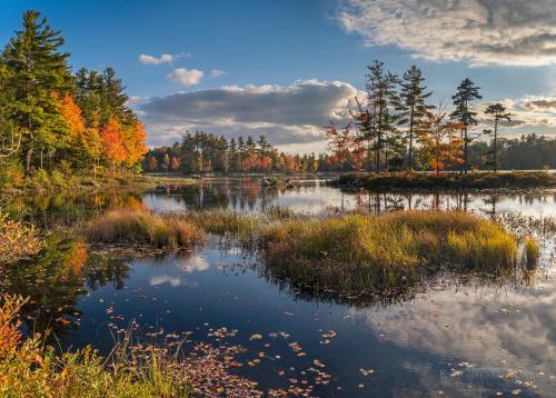 oneshotolive:  Autumm afternoon at a pond in northern Massachusetts [OC][1600x1146] 📷: bckpkrs 