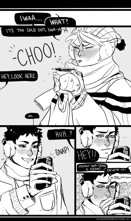 commandereyebrows: get wrecked iwa-chan headcanon that oikawa is the annoyingly photogenic friend&tr