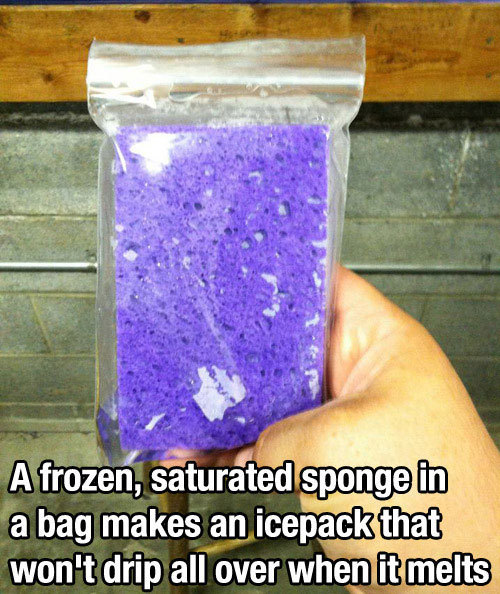 lifehacks247:  For More Posts Like This Follow LifeHacks247 