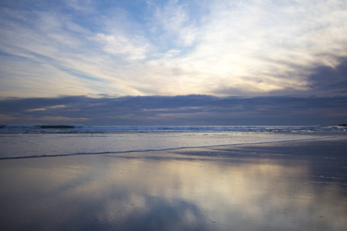 living-inbetween:  Bethells Beach, Te Hunga, Waitakere, Auckland.  Chasing the light 