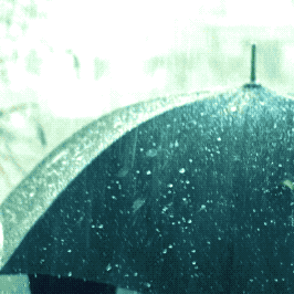 Umbrella Stimboard !