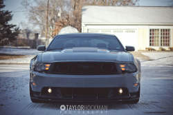 ford-mustang-generation:  #FEF by t.hockman