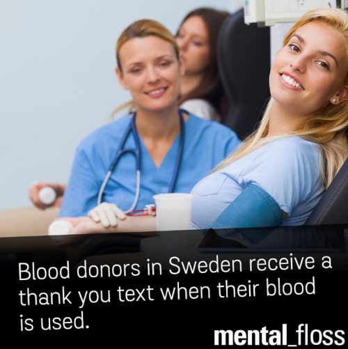Mental Floss