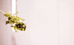 insideageniusmind:  chipwiches:    disney channel original movies → EDDIE’S MILLION DOLLAR COOKOFF   Was this the fucking movie where he tried to crack an egg with one hand and he put fruit loops on chicken