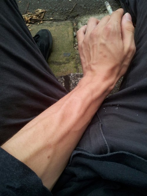 XXX tapthatguy-x-version:  VEINS VEINY arms, photo