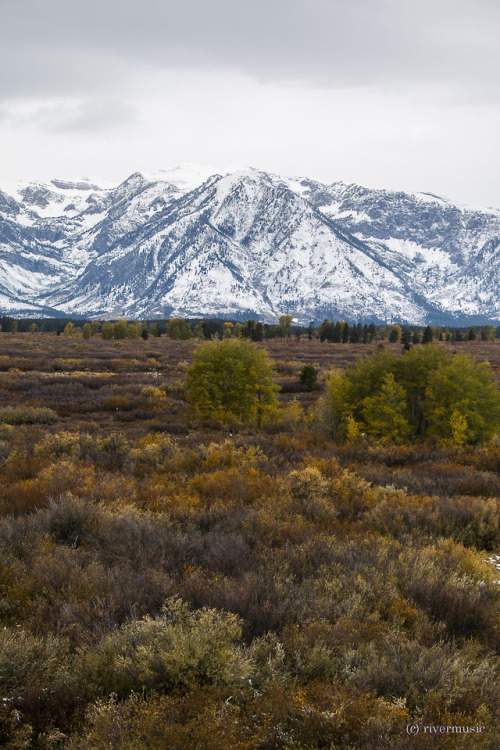 Ablaze: Willow Flats near Mount Moran, Grand Teton National Park, Wyomingriverwindphotography, Octob