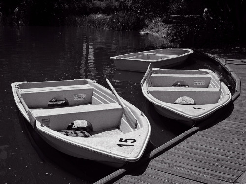 fotoartiste:Row boats in Stow LakeCary Friedman/Photography by Cary Friedman, fotoartiste.tumblr.com