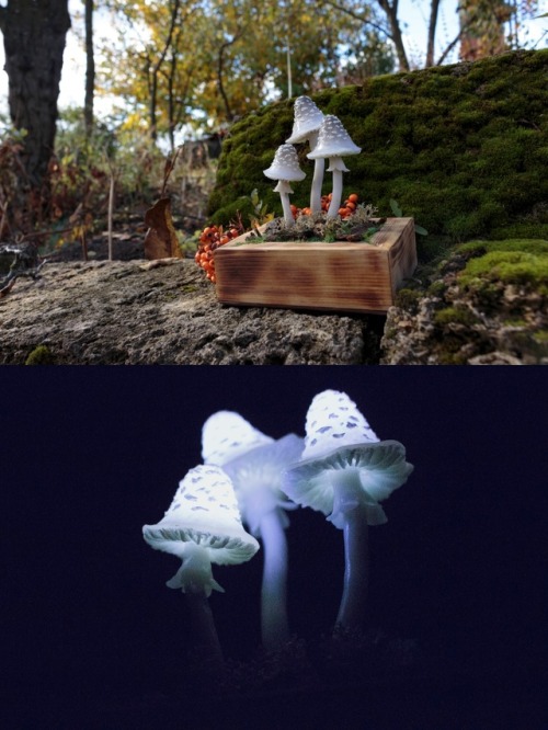 sosuperawesome:Mushroom Night Lights by The Snowmade on Etsy 