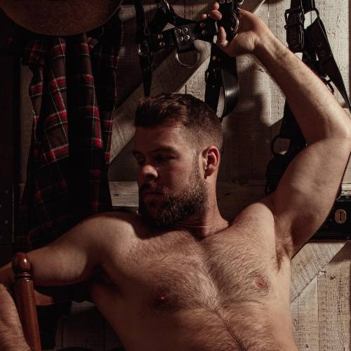 thehairymenhunterisback: