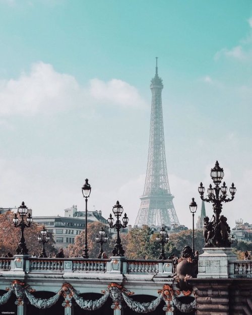 lilyadoreparis:Le Pont Alexandre III et la Tour Eiffel by Sébastien Pélegrin.