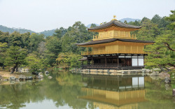 allpills:  ileftmyheartintokyo:  Kinkakuji by Carl_W on Flickr.  Real gold