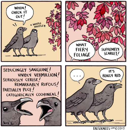 falseknees:This one goes out to my Patreon supporters who are responsible for me doing two comics per week! Thank you thank you! Link to Patreon in this whooooole sentence.