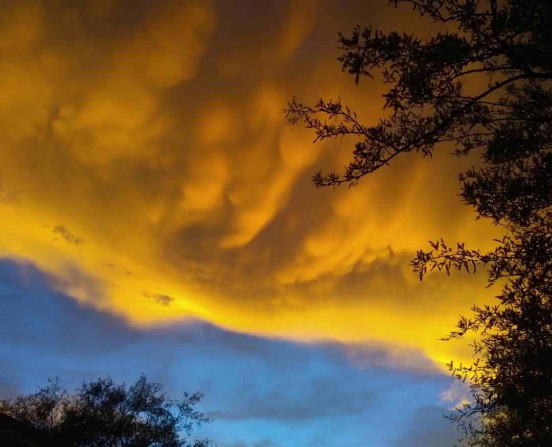 #noedit #nofilter last night’s insane golden #monsoon #sky #tucson #arizona #desertlife Walking outside into that light it felt like another planet! My phone kept trying to white balance like…this color doesn’t seem right.