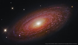 spaaaaaceblog:  The Colossal spiral galaxy NGC2841.Source