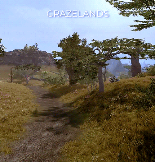 Regions Of Morrowind S K Y W I N D 2024: The Road So Far