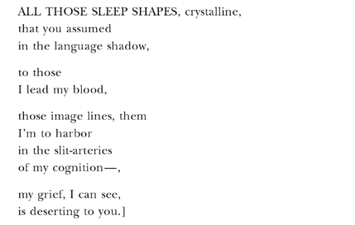 myshoesuntied:“All Those Sleep Shapes,” Paul Celan (trans. by Anne Carson) 