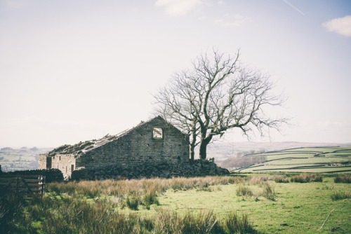 God’s Own Country, 2017Dir: Francis LeeDoP: Joshua James Richards 