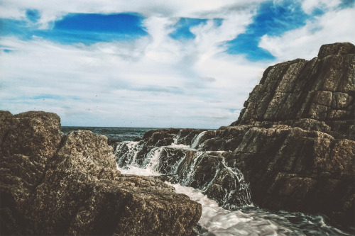 Rocks by the ocean