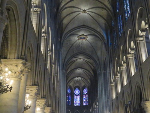 Notre Dame Cathedral 2017