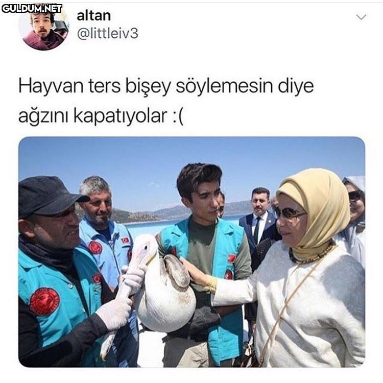 Hayvan ters bişey...