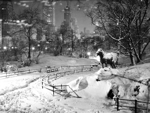 February 20, 1934: A statue of Balto, the Siberian husky who in 1925 led a dogsled team carrying a&n